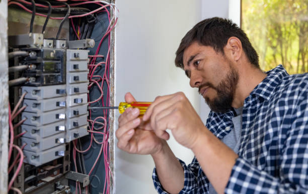 Best Electrical Rewiring Services  in Clinton, MI